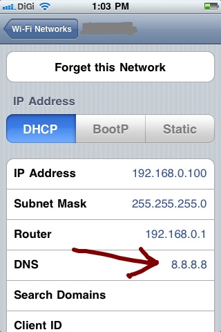 Google DNS on iPhone
