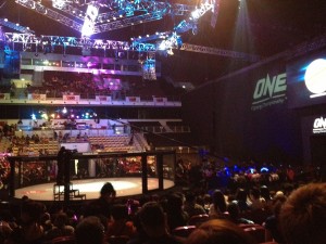 ONE FC 7